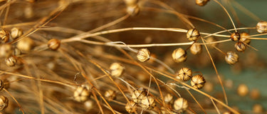 How sustainable is linen?