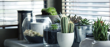 4 Eco-friendly Interior Design Ideas to Make Your Home a Safe Haven on a Budget