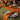 Persimmon Orange