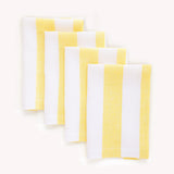 Primrose Yellow & White