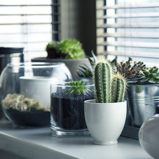 4 Eco-friendly Interior Design Ideas to Make Your Home a Safe Haven on a Budget