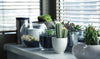 4 Eco-friendly Interior Design Ideas to Make Your Home a Safe Haven on a Budget