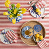 Red and White Amalfi Stripe