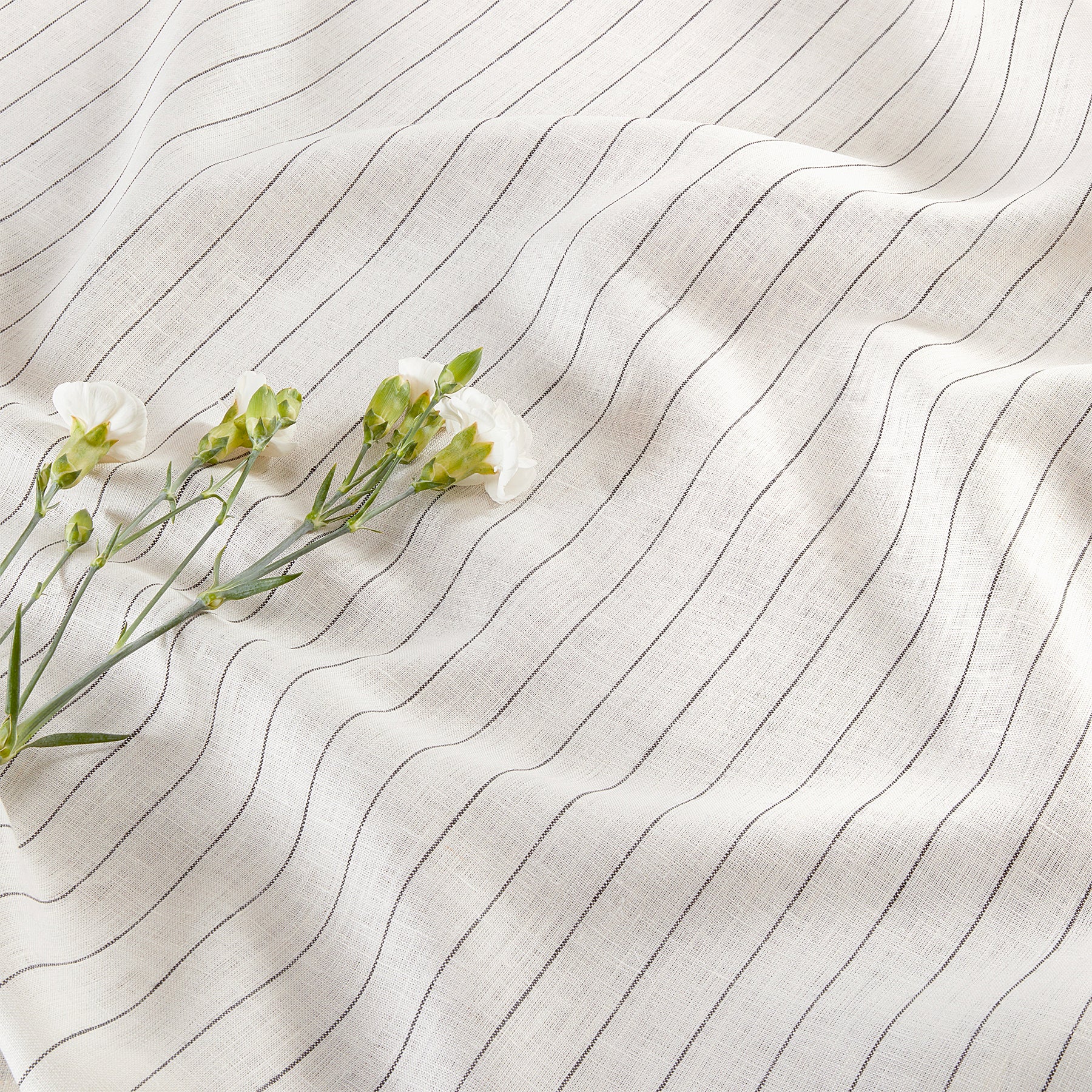 Ivory and Black Pinstripe