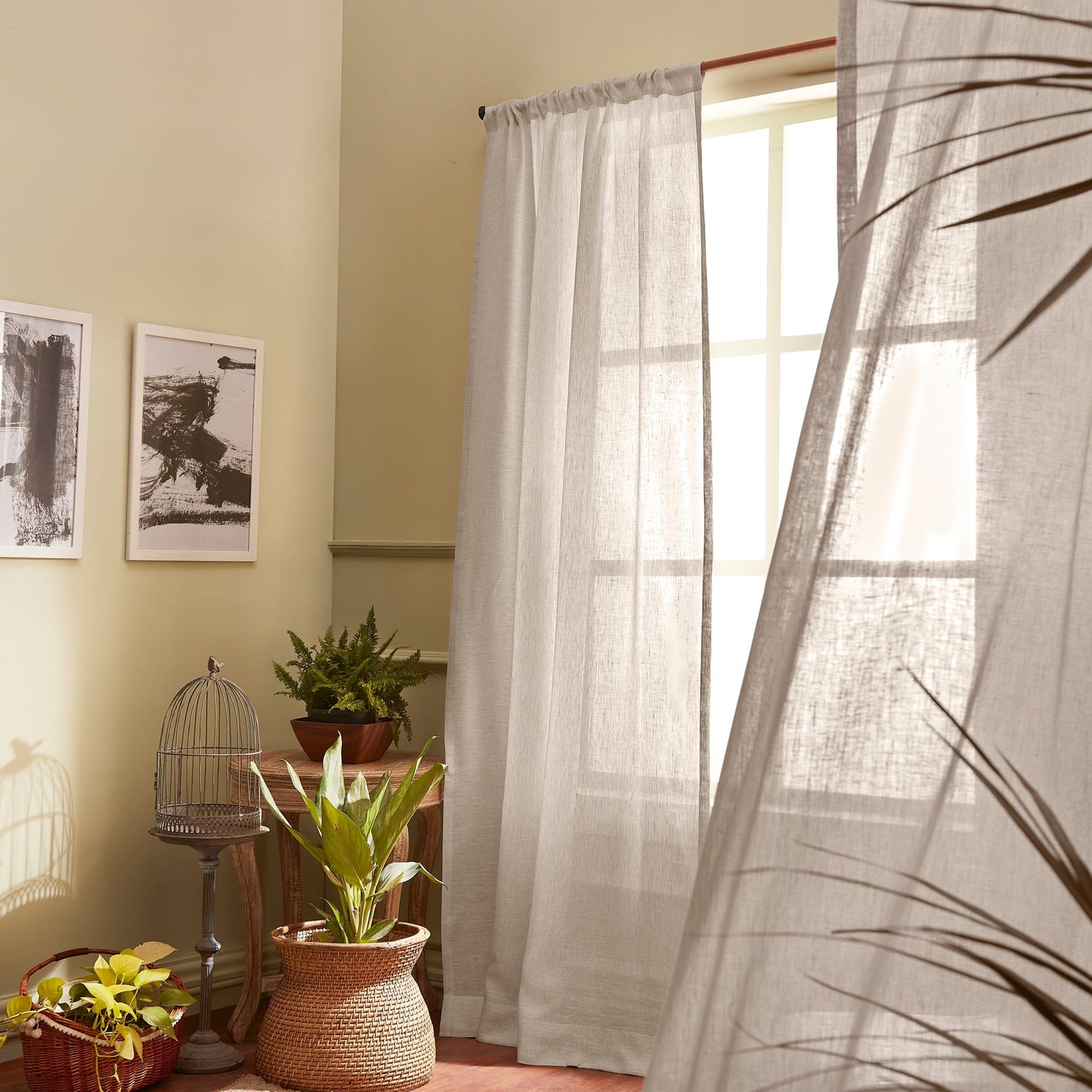 #color_light-natural