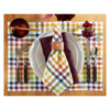 Multicolor Gingham