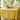 Marigold Yellow