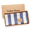 Navy and White Cabana Stripe
