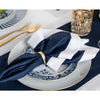 Navy/Silver Shimmer Border