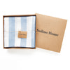 Sky Blue and White Cabana Stripe