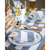 Navy and White Cabana Stripe