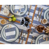 Navy and White Cabana Stripe