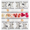 Black and White French Stripe