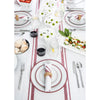 Burgundy and White French Stripe