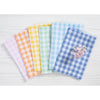Sunny Orange Gingham
