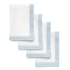 Light Blue and White Classic